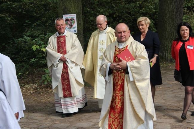 Chleb w roli głównej