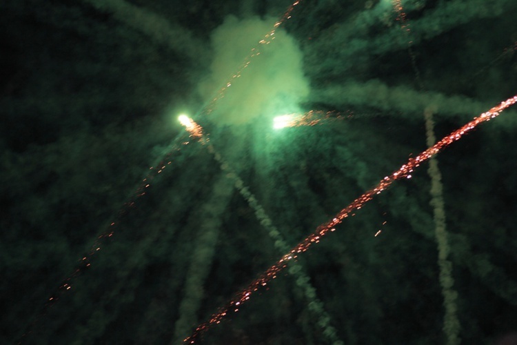 Koncerty i pokaz sztucznych ogni w Skierniewicach w 2015 roku