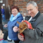 Błogosławieństwo zwierząt w Darłowie