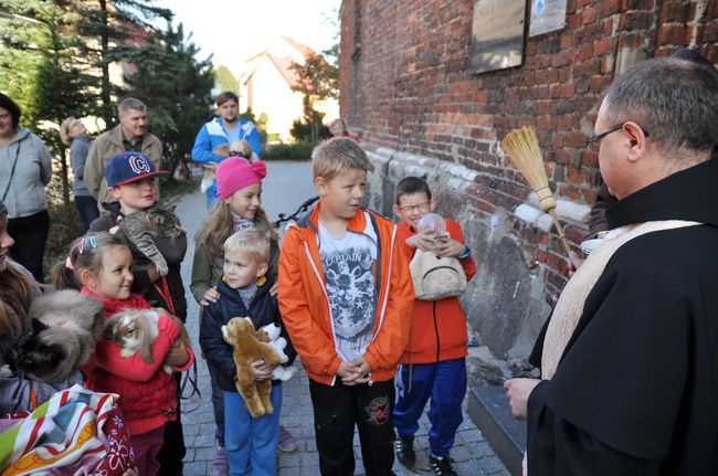 Błogosławieństwo zwierząt w Darłowie