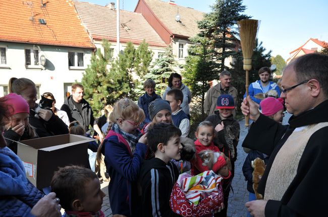 Błogosławieństwo zwierząt w Darłowie