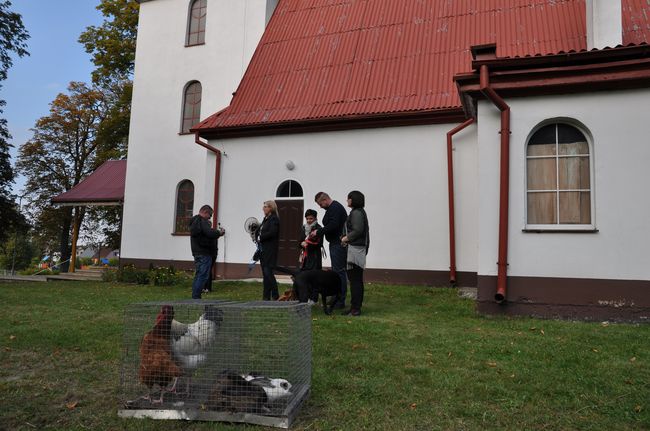 Błogosławieństwo zwierząt w Manowie