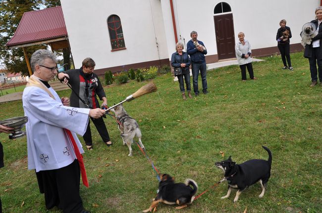 Błogosławieństwo zwierząt w Manowie