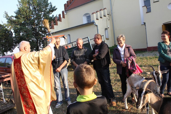 Msza św. Franciszka w Lutomii