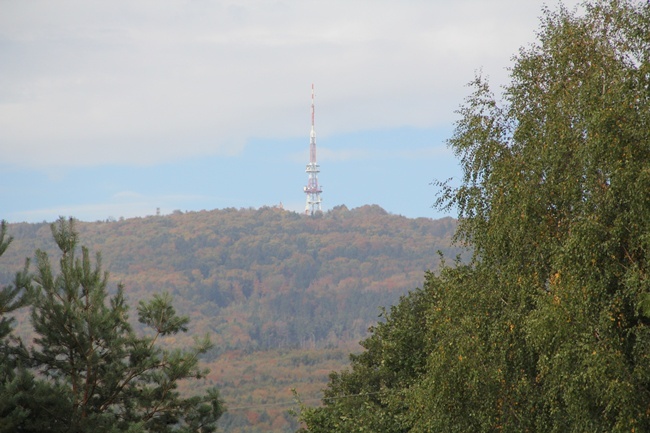 (przed)Dzień Papieski w Sulistrowicach