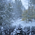 Zimowy poranek na Podhalu