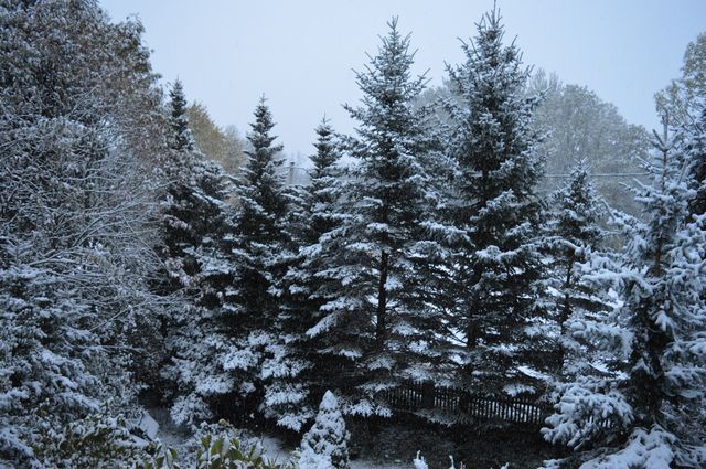 Zimowy poranek na Podhalu