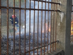 Dzięki szybkiej interwencji strażaków ogień za parkanem cmentarza szybko został ugaszony