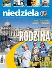 Niedziela 41/2015