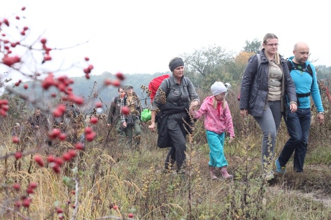 Błoto i krówki, buki i motyle