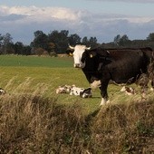 UE nierówno traktuje rolników