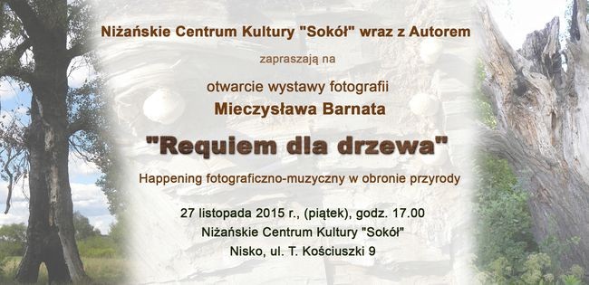 Requiem dla drzewa