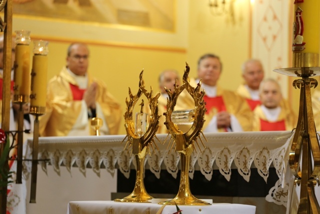 Znaki Bożego Miłosierdzia w Żywcu-Zabłociu