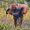 Etiopii grozi głód