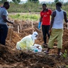 Ebola, ebola – straszne słowo pada z wielu ust