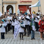 Manifestacja przeciw powiększeniu Opola