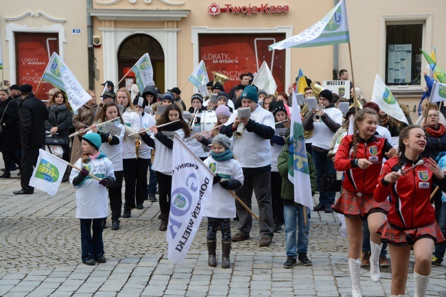 Manifestacja przeciw powiększeniu Opola