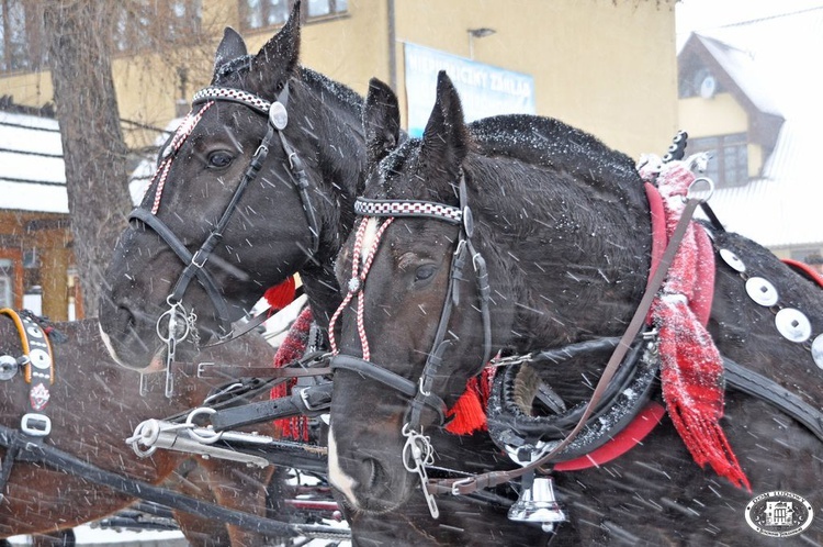 44. Góralski Karnawał w Bukowinie Tatrzańskiej - cz. 2