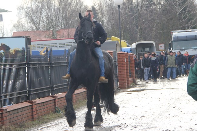 Skaryszewskie „Wstępy 2016”