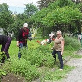  Seniorzy z SUTW przy pracach porządkowych wokół szkoły, w której mieści się jego siedziba