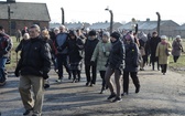 Droga Krzyżowa na terenie KL Auschwitz-Birkenau