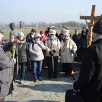 Droga Krzyżowa na terenie KL Auschwitz-Birkenau