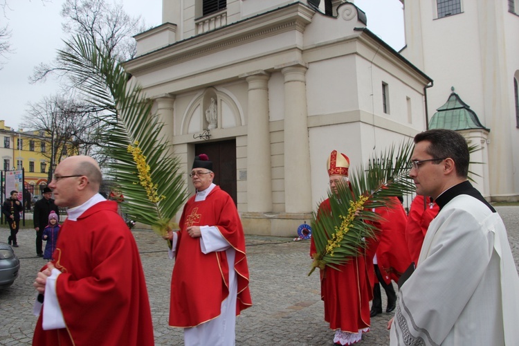 Niedziela Palmowa w Łowiczu, cz. II