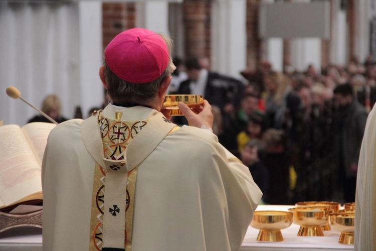 Uroczystości Niedzieli Miłosierdzia