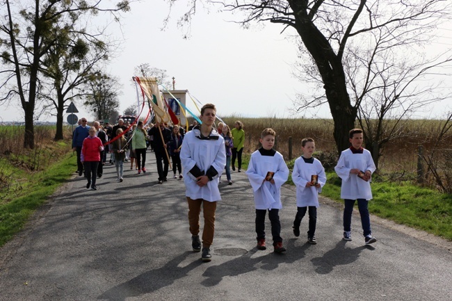 Procesja dekanalna miłosierdzia Wróblowice-Lutynia