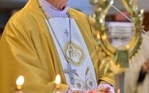 Diecezja świdnicka w Łagiewnikach