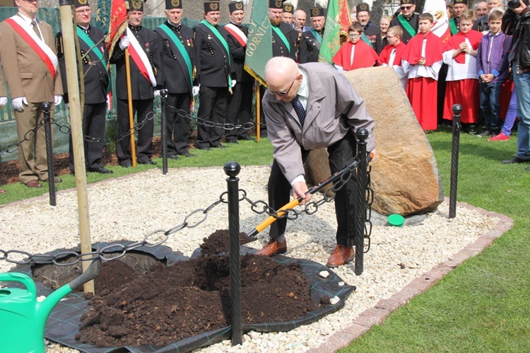 Dąb dla Polski i górników 