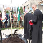 Dąb dla Polski i górników 