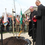 Dąb dla Polski i górników 