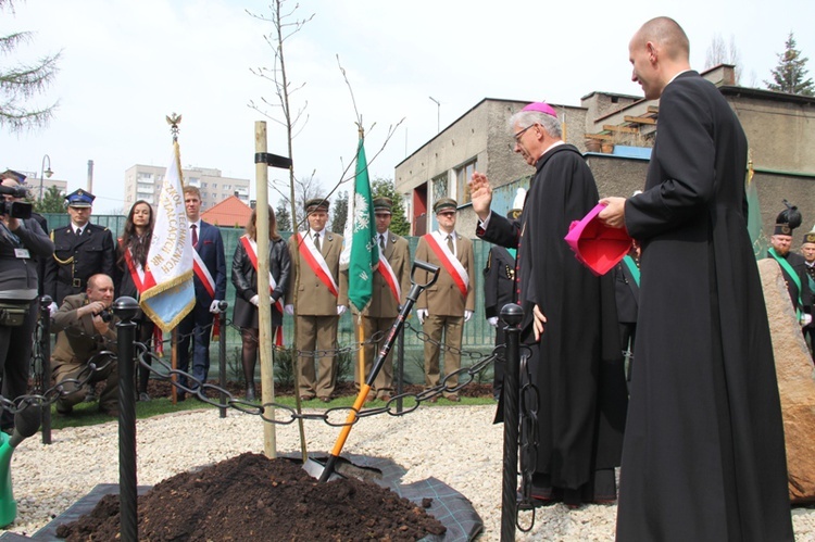 Dąb dla Polski i górników 