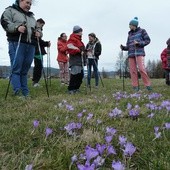 Nordic walking z Posłańcami Pokoju