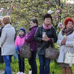 Znaki Bożego Miłosierdzia w Mazańcowicach