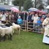 Święto Bacowskie w Ludźmierzu