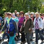 IV pielgrzymka do Łagiewnik wyrusza z Hałcnowa - cz. I