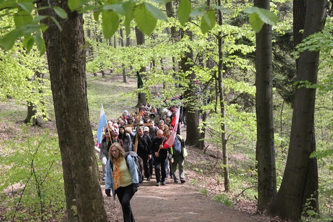 Pielgrzymka na Ślężę