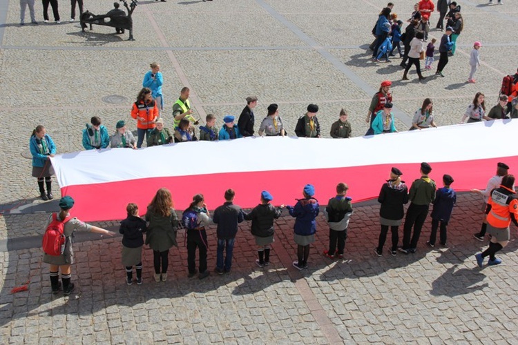 Święto Falgi w Skierniewicach