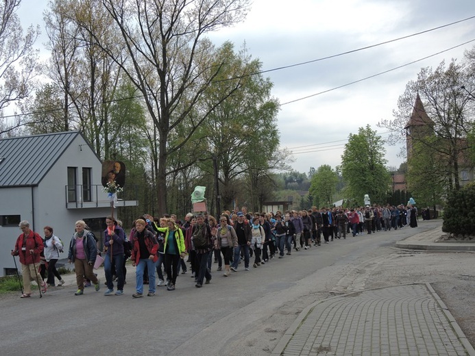 Z Przytkowic przez Polankę Hallera i Radziszów