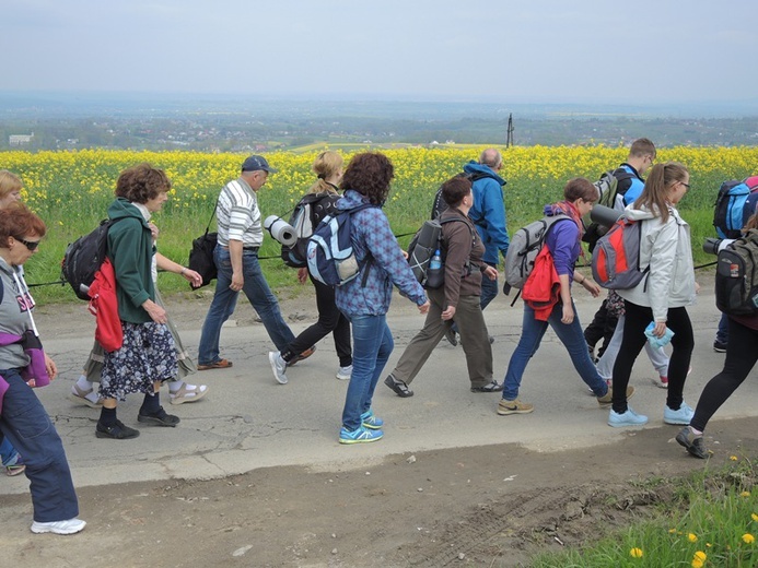 Z Przytkowic przez Polankę Hallera i Radziszów