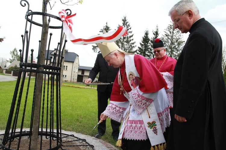 Obchody w Bolesławiu