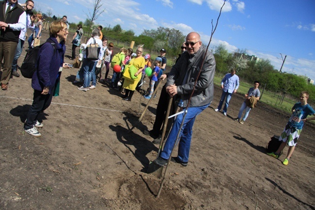 Nowe drzewa w Parku Tysiąclecia