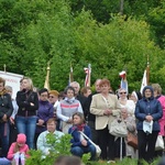 Odnowienie przyrzeczeń chrzcielnych