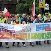 Rodzinny piknik zakończył Marsz dla Życia i Rodziny w Cieszynie.