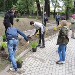 Ogród ekologiczny przy Hospicjum św. Jana Pawła II