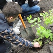 Ogród ekologiczny przy Hospicjum św. Jana Pawła II