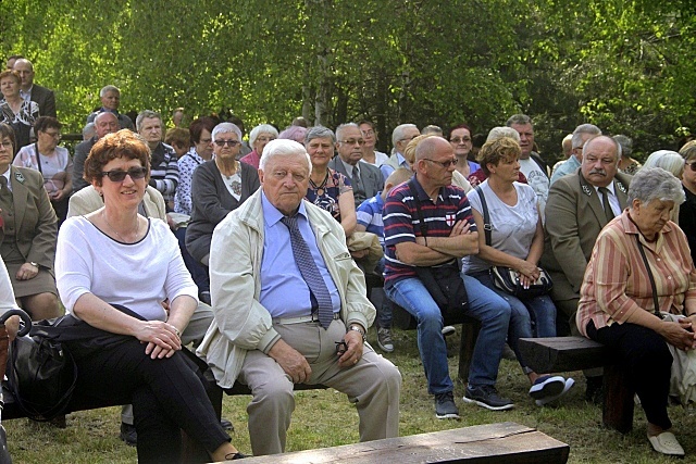 Dąb Papieski w Trzebczu