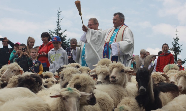 Rajd na Bendoszkę